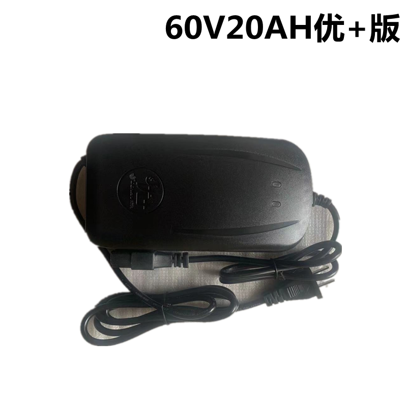 东升充电器电动车充电器60V20AH通用充电器智能电瓶车友仪充电器