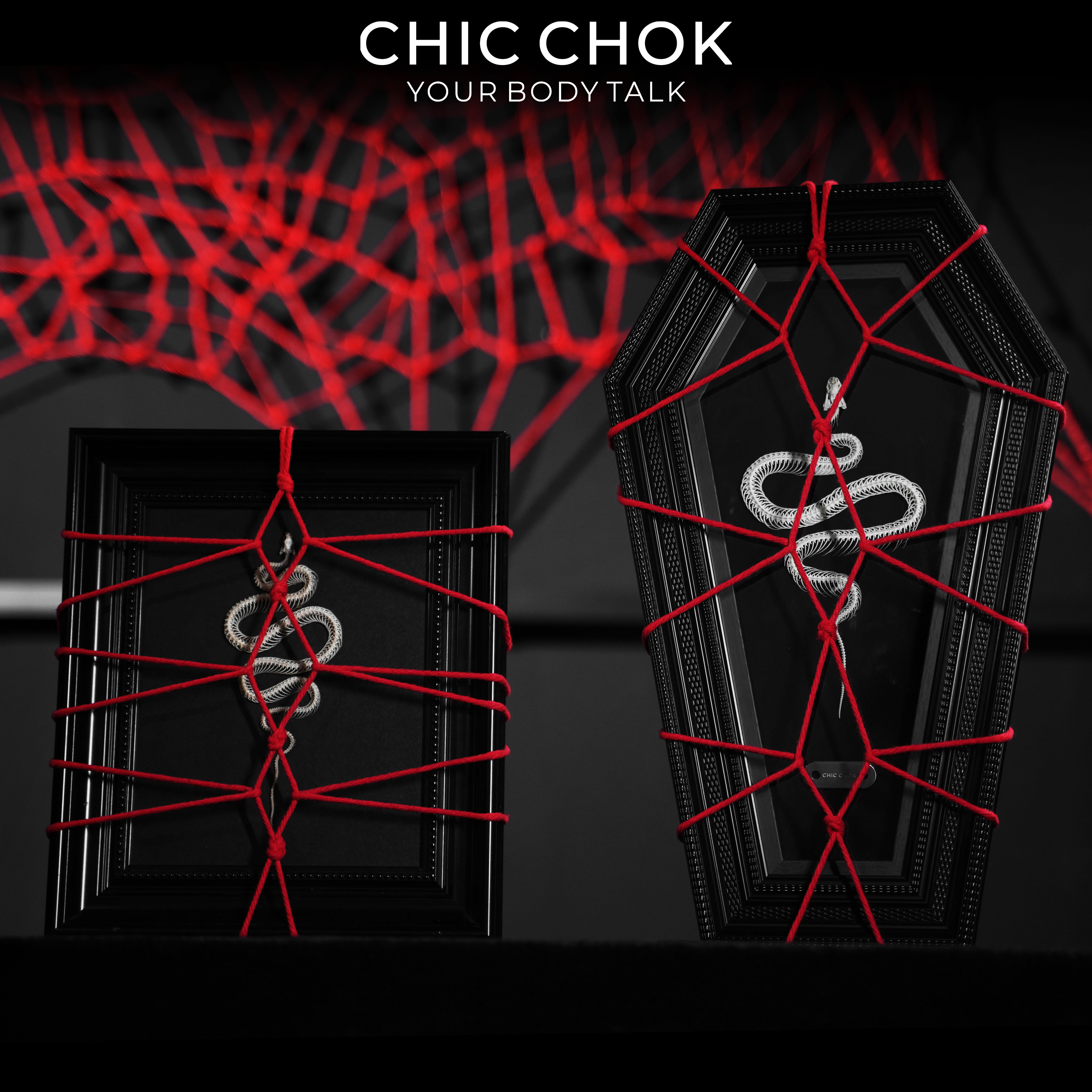 CHICCHOK蛇骨画框手工制作蛇骨标本异形艺术品工艺品绳缚装饰相框