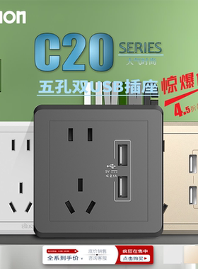 西蒙C20系列白/金/灰色五孔带USB 二三孔+usb开关插座双USB五孔插