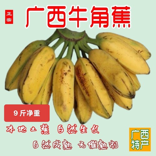广西原生态酸甜牛角芭蕉