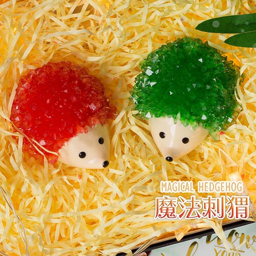 diy儿童许愿水晶种植科教培养