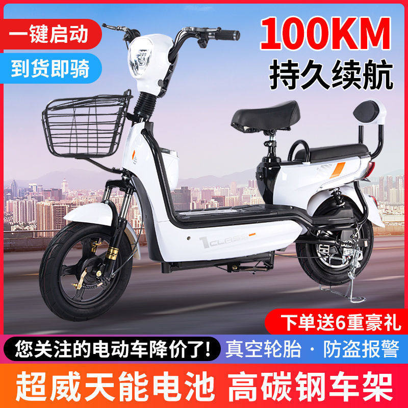 新款电动车成人电动自行车48v锂电池小型电瓶车双人长跑王代步车