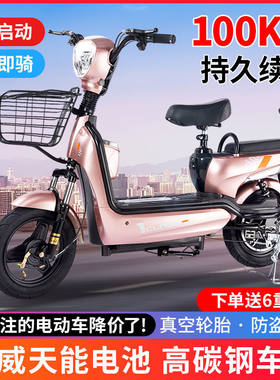 新款电动车成人电动自行车48V锂电池小型电瓶车双人长跑王代步车