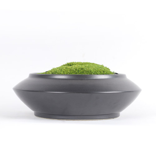 现代创意仿真绿植永生苔摆件家居桌面茶室会所前台玄关禅意工艺品