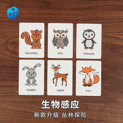 北方魔术危险预言儿童玩具