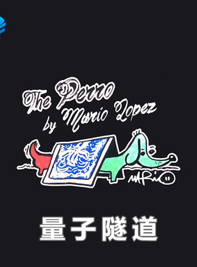 北方魔术量子隧道 Perro Verde纸牌连续翻转变色扑克纸牌魔术道具