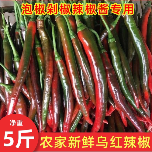 酱色二荆条农家自种当季线椒泡菜剁椒专用新鲜乌红辣椒现摘现发