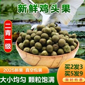 2025年新货天长龙岗新鲜鸡头米果二青一级大野生冰冻带壳芡实450g