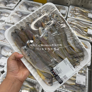 开市客 海鲜河鲜水产上海costco代购 冰鲜东海小黄鱼 每天现买