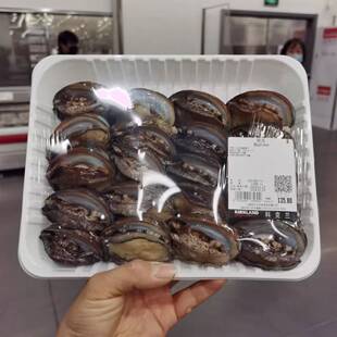 新鲜冰鲜大鲍鱼海鲜水产20个左右 costco代购开市客现买称重