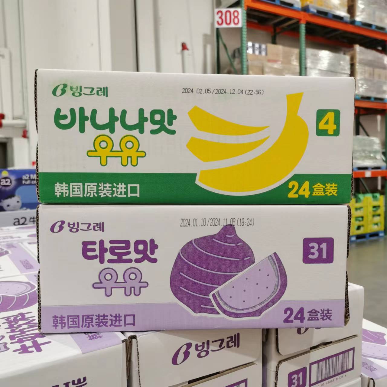 韩国进口宾格瑞香蕉牛奶香芋牛奶饮料24盒 网红 costco代购开市客