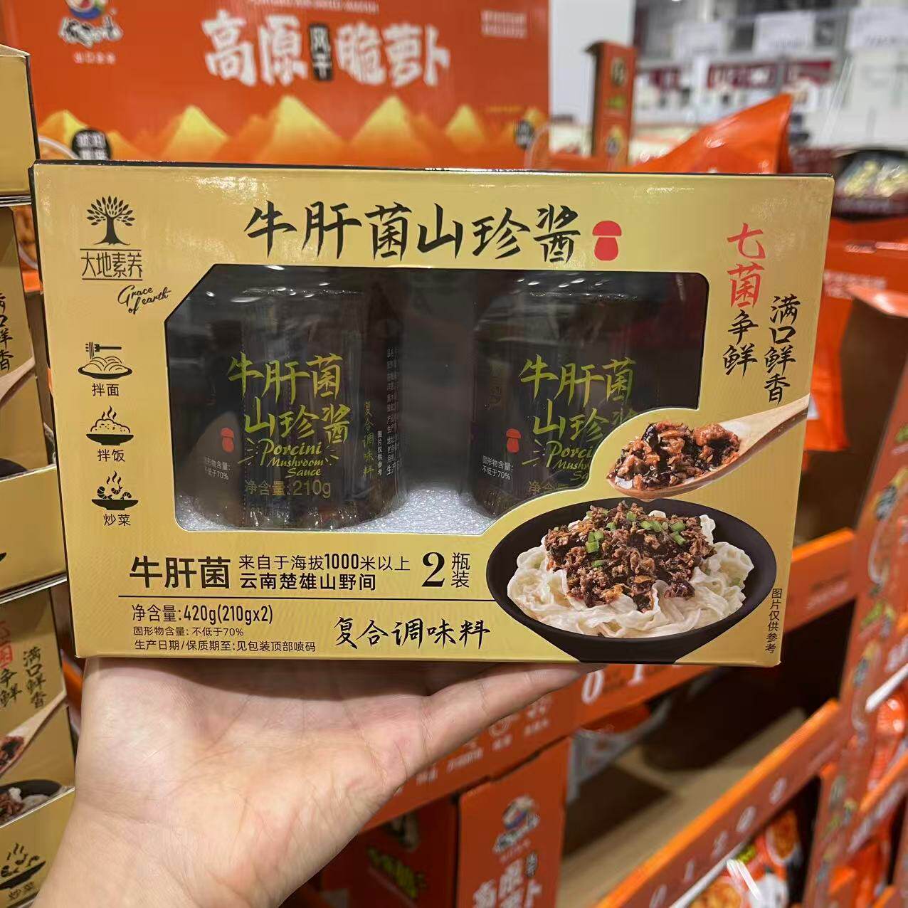 大地素养牛肝菌山珍酱420g