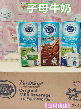 现货广东包邮 香港子母奶原味朱古力高钙牛奶36*225ml 进口子母奶