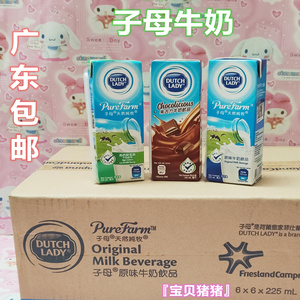 现货广东包邮 香港子母奶原味朱古力高钙牛奶36*225ml 进口子母奶