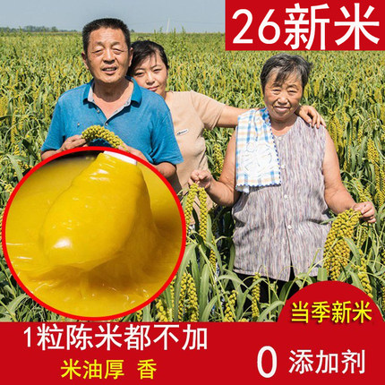 26头茬新5斤龙山小米脂食用级黄小米新米特香糯黄月子胃新米现磨