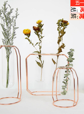 金属花架试管透明玻璃简约现代