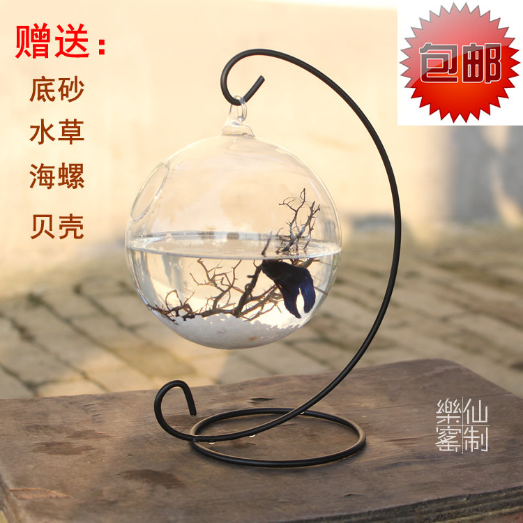 吊挂悬挂玻璃透明多肉植物鱼缸花瓶小玻璃鱼缸创意斗鱼缸迷你鱼缸