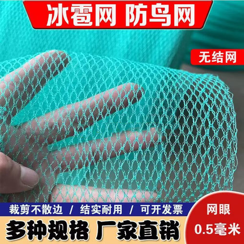 晨冬冰雹网养殖用防冰雹用防鸟用