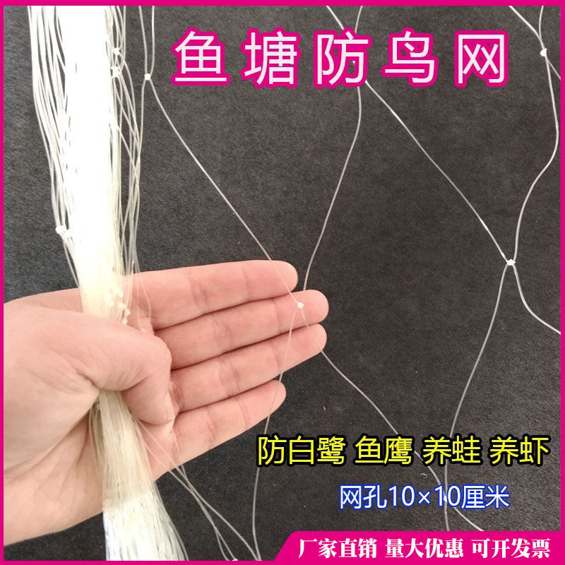 10公分网眼防鸟网鱼塘养殖青蛙虾防白鹭鱼鹰天网果园防大鸟用的网