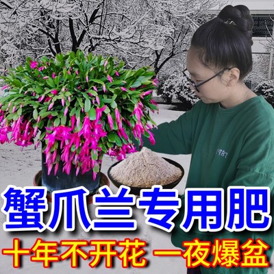 脱脂骨粉花肥专用养花骨粉花肥料包邮家用有机肥磷肥促花果月季