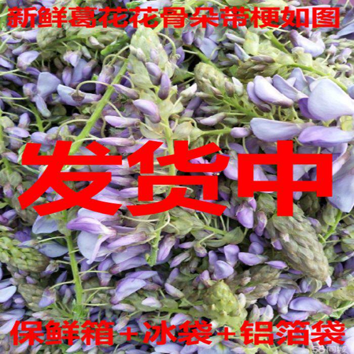 紫葛花新鲜葛花紫槐花紫藤花桐花菜非洋槐花杨槐花一份1斤2斤包邮