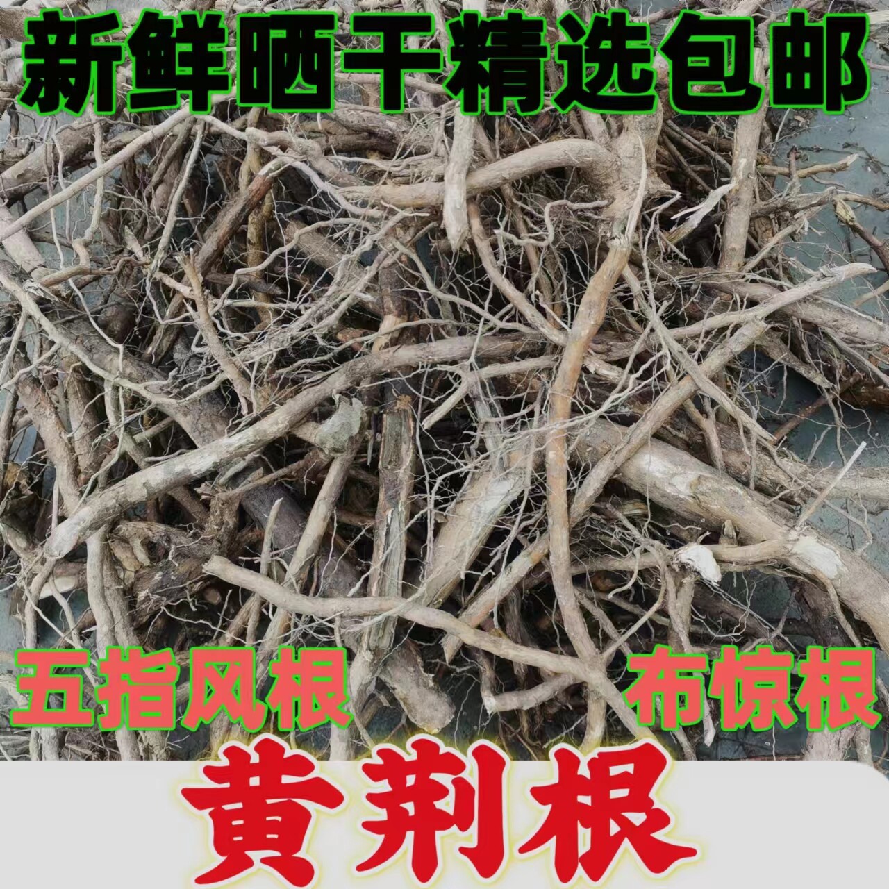 四川新鲜干品药材黄荆根 五指柑 五指风荆条 五指布惊茶 纯根包邮