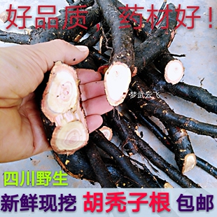 四川野生新鲜药材胡秃子根牛羊奶子宜梧根叶刺头根25元1斤包邮