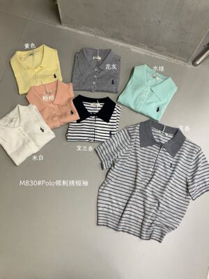 HXL韩系透气夏季薄针织衫小马刺绣精致通勤polo翻领气质上衣830