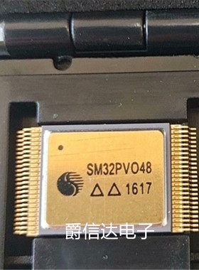 SM32PV048 SM32PVO48 CSOP48 全新原装 集成电路 IC芯片 现货供应