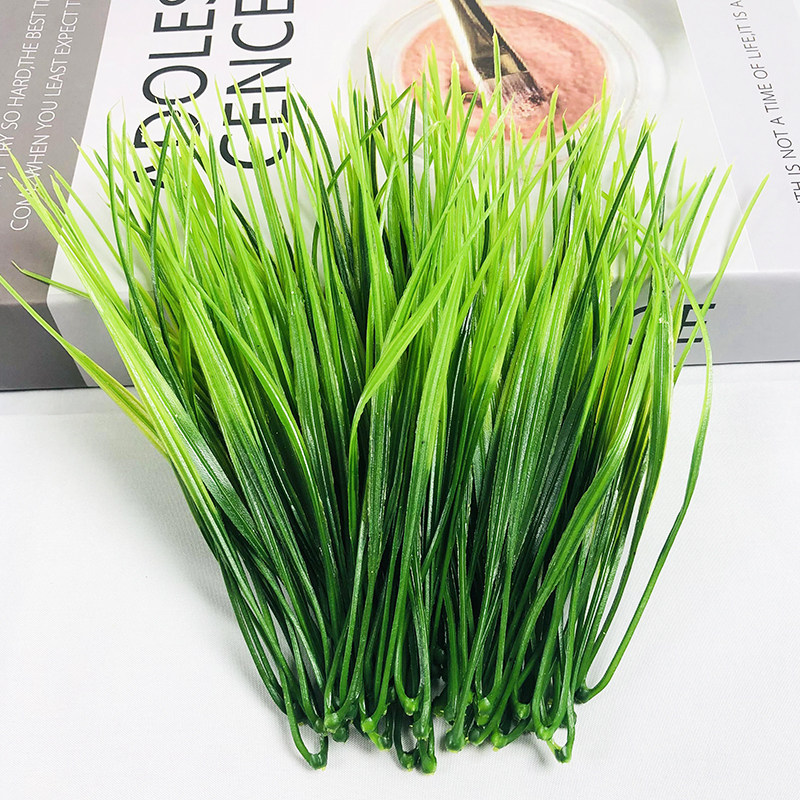 小春草仿真叶子diy手工绿植小草墙壁装饰水草蛋糕造景塑料假花,鲜花速递/花卉仿真/绿植园艺,仿真绿植,淘宝优惠券,粉丝福利购,淘宝优惠卷