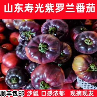 顺丰山东紫罗兰番茄紫元帅沙瓤西红柿新鲜蔬菜现摘黑牛排大柿子