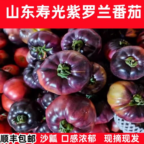 顺丰山东紫罗兰番茄紫元帅沙瓤西红柿新鲜蔬菜现摘黑牛排大柿子