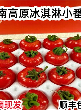云南高原冰淇淋小番茄水果西红柿新鲜皮薄软嫩多汁生吃高糖小柿子