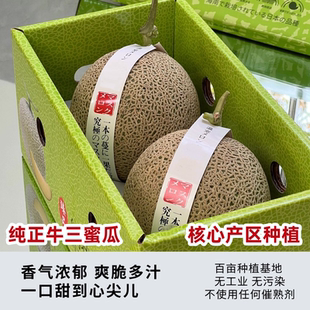 正宗牛3蜜瓜礼盒装 网纹玫珑蜜瓜冰淇淋甜瓜新鲜水果静冈哈密瓜