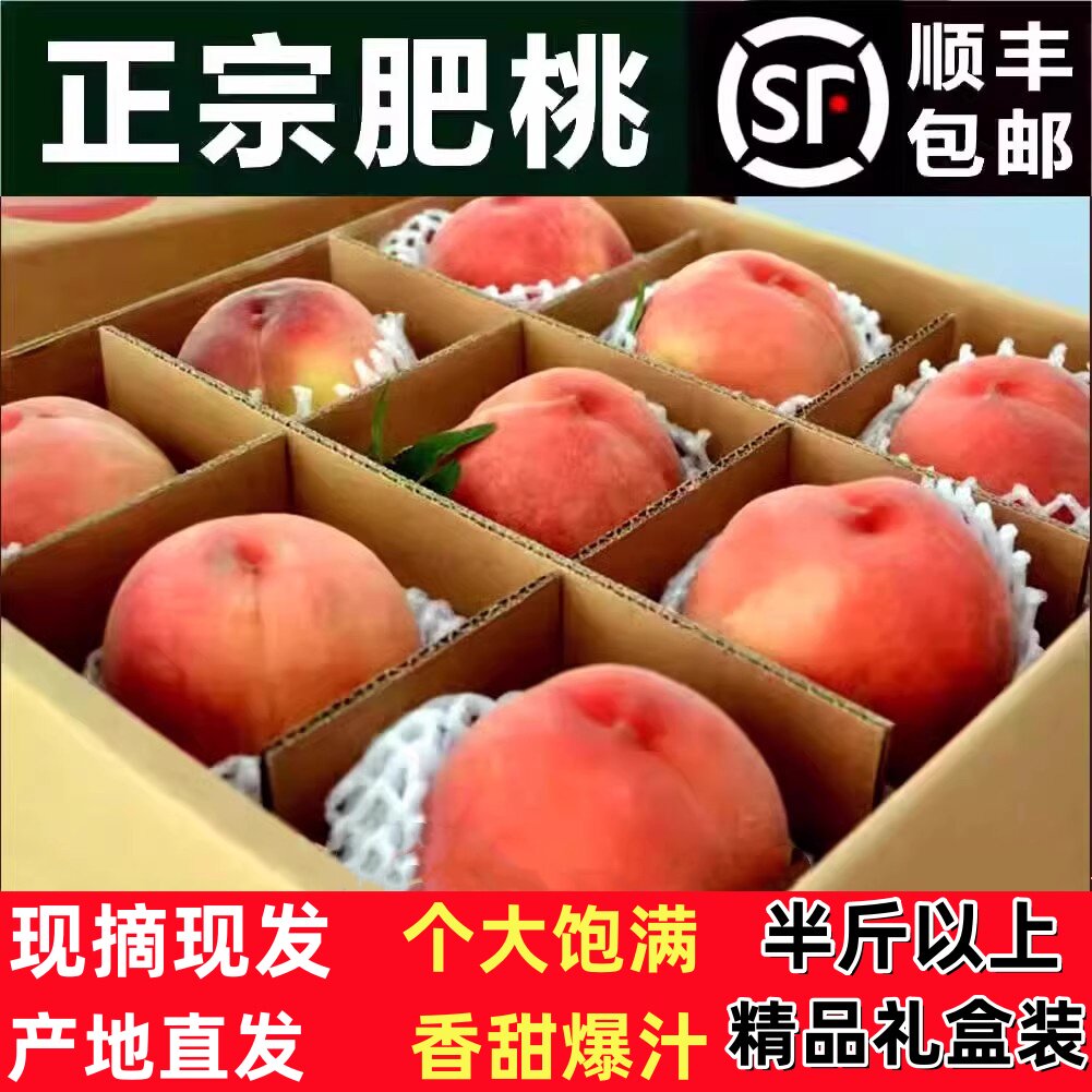 顺丰山东特产肥桃肥城水蜜桃礼盒现摘新鲜脆甜超大毛桃子肥佛桃