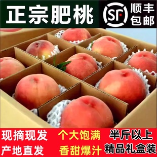 顺丰山东特产肥桃肥城水蜜桃礼盒现摘新鲜脆甜超大毛桃子肥佛桃
