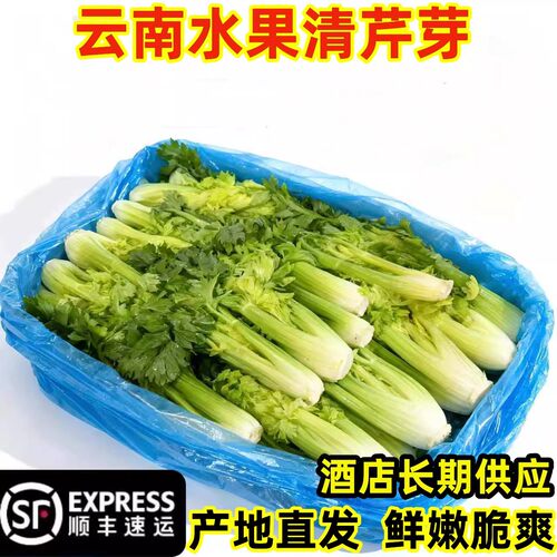 顺丰云南新鲜水果清芹芽可生吃芹菜当季现摘新鲜清芹鲜嫩榨汁蔬菜
