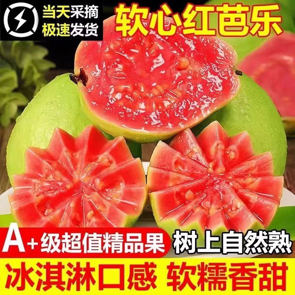 红心芭乐新鲜当季时令水果番石榴软糯胭脂红肉奶油水果整箱5,水产肉类/新鲜蔬果/熟食,番石榴/芭乐,淘宝优惠券,粉丝福利购,淘宝优惠卷