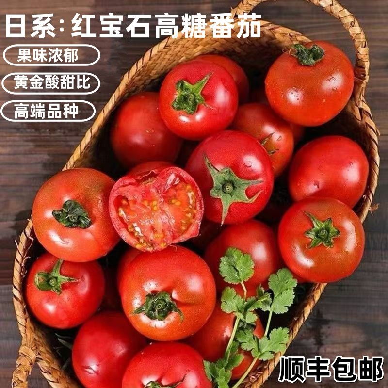 顺丰现摘红宝石高糖水果番茄当季新鲜蔬菜自然熟日本品种西红柿子,水产肉类/新鲜蔬果/熟食,番茄,淘宝优惠券,粉丝福利购,淘宝优惠卷
