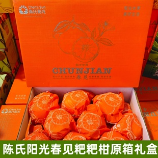 陈氏阳光春见粑粑柑8斤礼盒静冈种源新鲜水果甜嫩多汁大雅柑甜橘