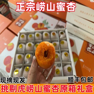 顺丰挑剔虎青岛崂山蜜杏礼盒装新鲜水果大红杏水蜜杏黄杏纯甜杏子