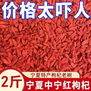 2026头茬】新货枸杞子宁夏正宗新货大颗粒枸杞构枸子泡水泡酒