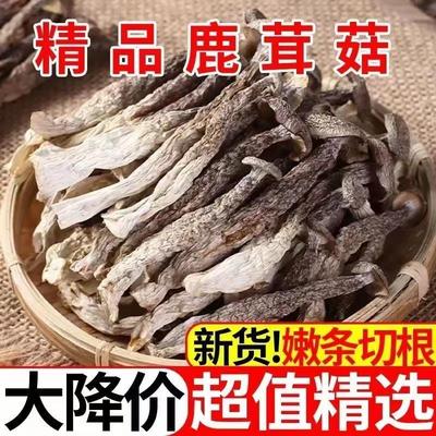 鹿茸菇干货500g包邮特级鹿茸菌无硫新鲜煲汤脆脆菇蘑姑干香菇