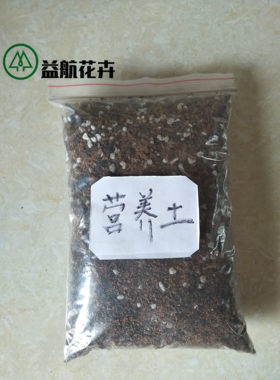 虎皮兰多肉植物盆栽营养土