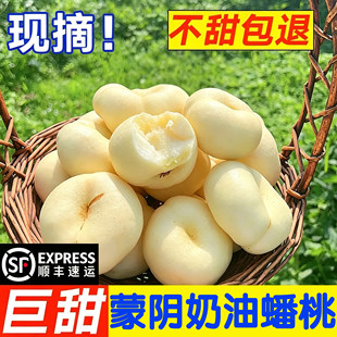 新鲜蒙阴露天白玉奶油蟠桃应季孕妇水果新鲜脆甜蟠桃当季手选大果
