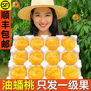 蒙阴黄油蟠桃新鲜水果无毛彩油虹蟠桃当季整箱脆桃扁桃孕妇油桃
