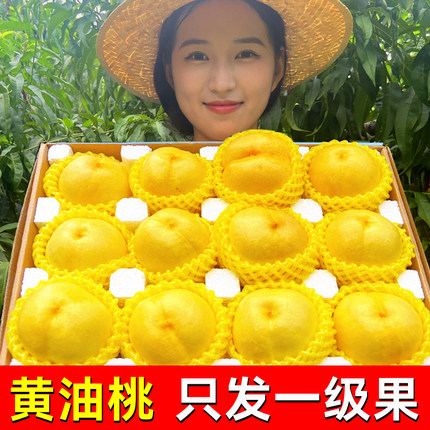 蒙阴露天黄金油桃应季孕妇水果新鲜脆甜黄心油桃纯甜当季手选大果
