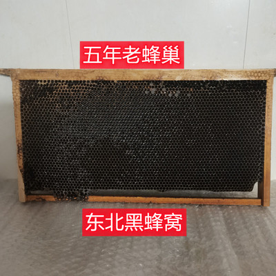 东北黑蜂五年老蜂巢老巢脾空巢黑蜂窝不带蜜包邮