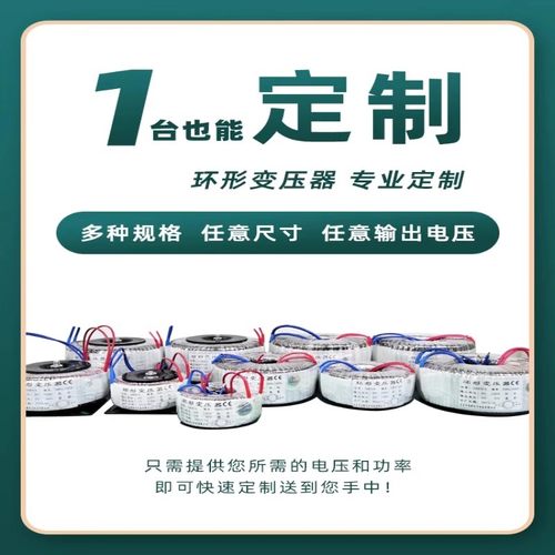 环形变压器220v转220v36v48v60v70v80v110V大功率环形变压器定制