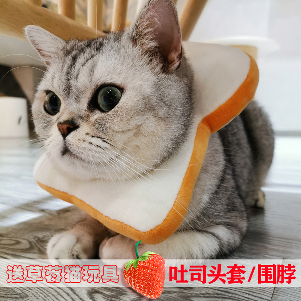 新奇宠物小猫咪吐司面包片头套虾仁围脖伊丽莎白圈颈项圈网红饰品